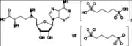 Ademethionine 1,4-Butanedisulfonate