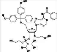 Adenosine Related Compound 10
