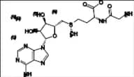 Adenosyl Methionine Impurity 3