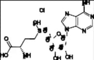 S-5'-Adenosyl-13C5-L-Methionine-Chloride