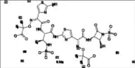 Aztreonam Impurity 4 Tetrasodium Salt
