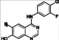 Afatinib Impurity 2
