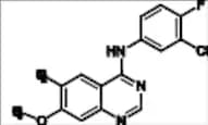 Afatinib Impurity 5