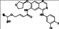 Afatinib Impurity 42