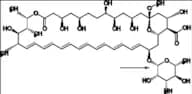 Amphotericin B EP Impurity B