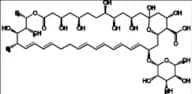 Amphotericin B EP Impurity A