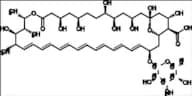 Amphotericin B-13C6