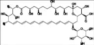 Amphotericin B Impurity 3