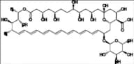 Amphotericin B Impurity 4