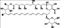 Amphotericin B Impurity 5