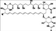 Amphotericin B Impurity 6
