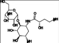 Amikacin Impurity 1