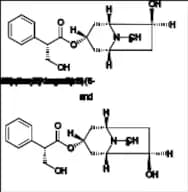 Atropine EP Impurity D and E (Mixture of 6-β-Hydroxyhyoscyamine and 7-β-Hydroxyhyoscyamine)