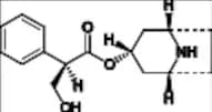 Atropine Impurity 13