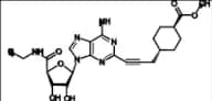 Apadenoson