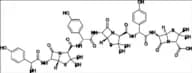 Amoxicillin Trimer Impurity 2