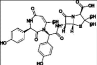 Amoxicillin Impurity 13