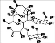 Azithromycin Impurity 3