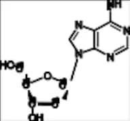 2'-Deoxyadenosine-13C5