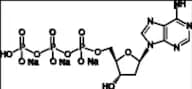 2’-Deoxyadenosine-5’-triphosphate Trisodium Salt