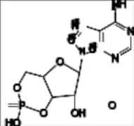 Adenosine-3',5'-cyclic Monophosphate-13C2-15N