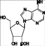 2'-O-Methyladenosine