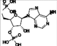 Adenosine Impurity 2