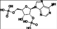 Adenosine Impurity 3