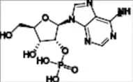 Adenosine Impurity 5