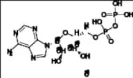 Adenosine 5’-Diphosphate-13C5