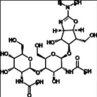 Allosamidin