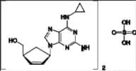 Abacavir Sulfate
