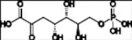 3-Deoxy-D-arabino-heptulosonate 7-Phosphate