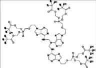Adefovir Dipivoxil Trimer