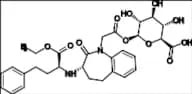 Benazepril Acyl-β-D-Glucuronide