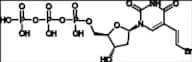 Brivudine Triphosphate
