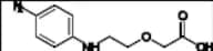 2-(2-((4-aminophenyl)amino) Ethoxy) Acetic Acid
