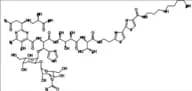 Bleomycin
