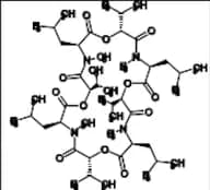 Bassianolide