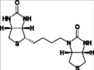 Biotin Impurity 31