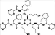 Bortezomib Impurity 40
