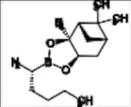 Bortezomib Impurity 62