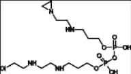 Cyclophosphamide Impurity 9