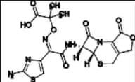 Ceftazidime Impurity 18