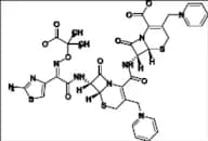Ceftazidime Impurity 19