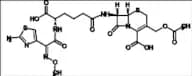 Cefotaxime Impurity 16