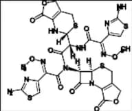 Cefotaxime Impurity 19