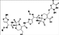 Cefotaxime Impurity 22