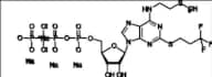 Cangrelor Tetrasodium Salt