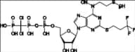N-Nitroso-Cangrelor
